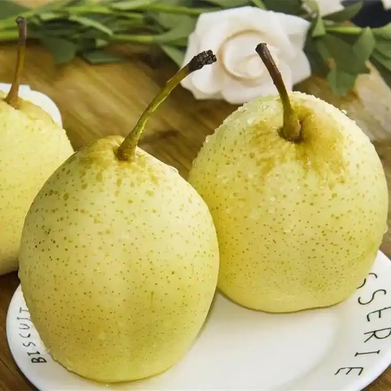 冠县鸭梨